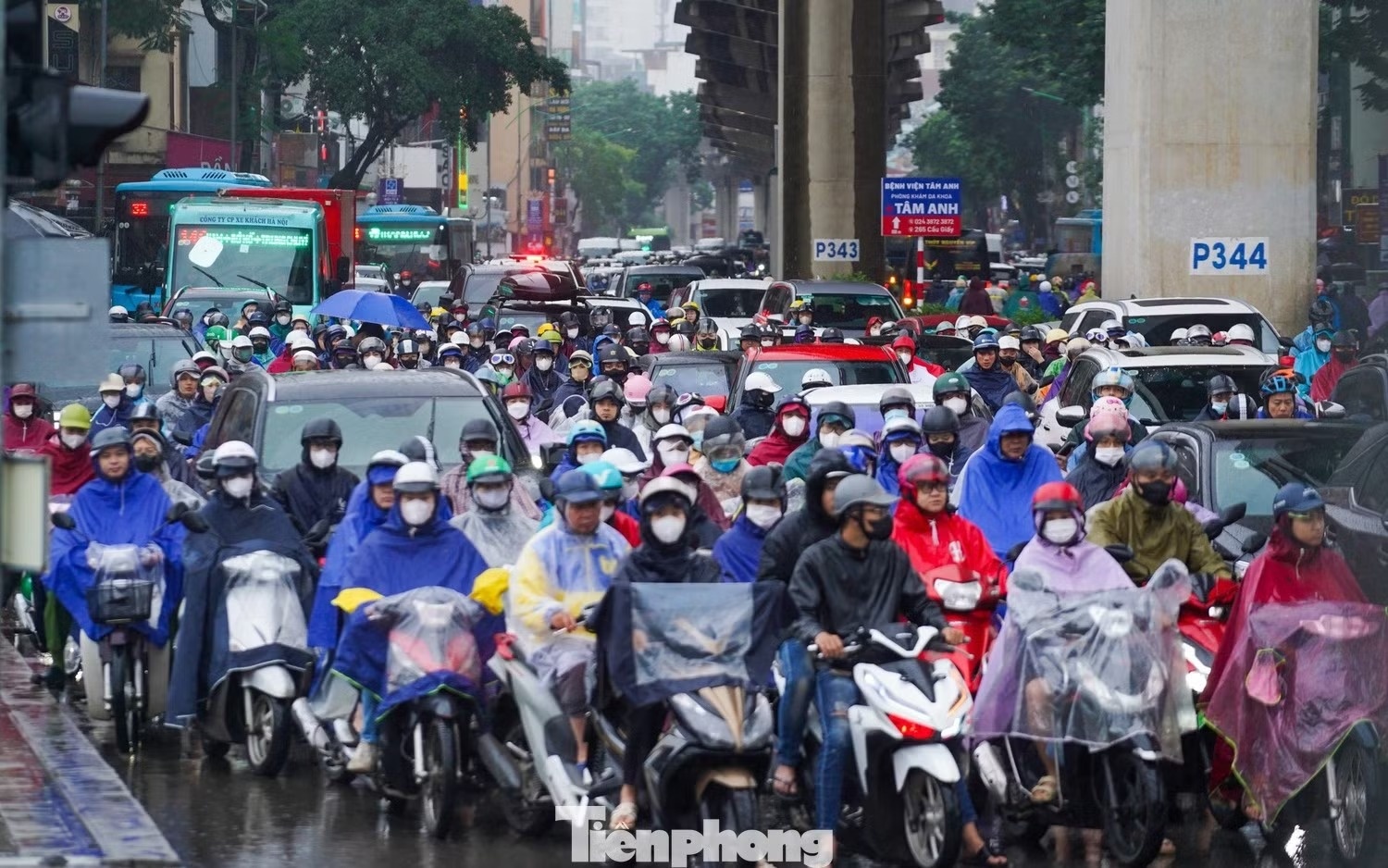 mien bac mua anh 1