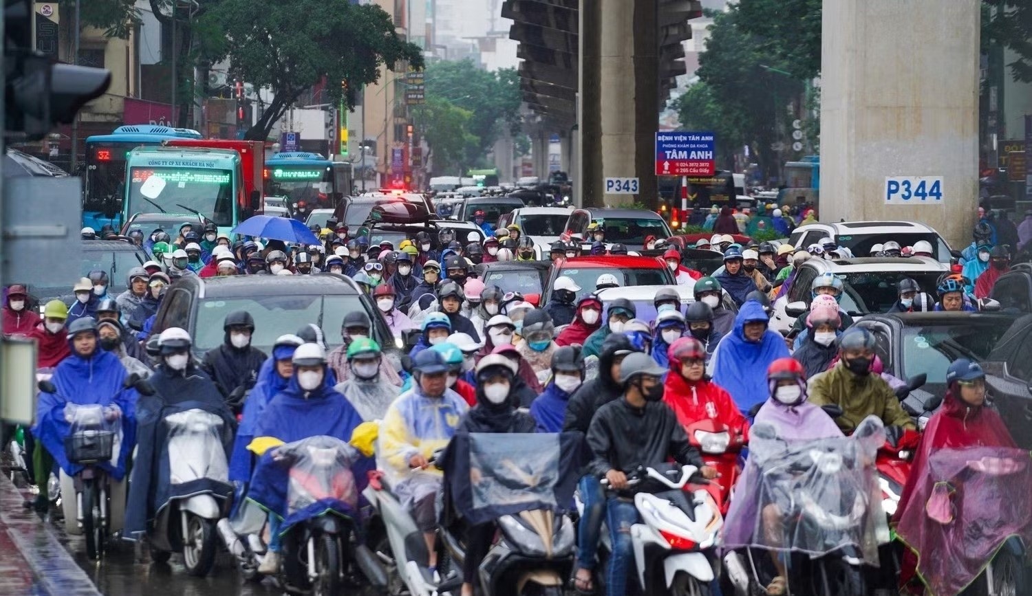 Mien Bac mua den bao gio? hinh anh