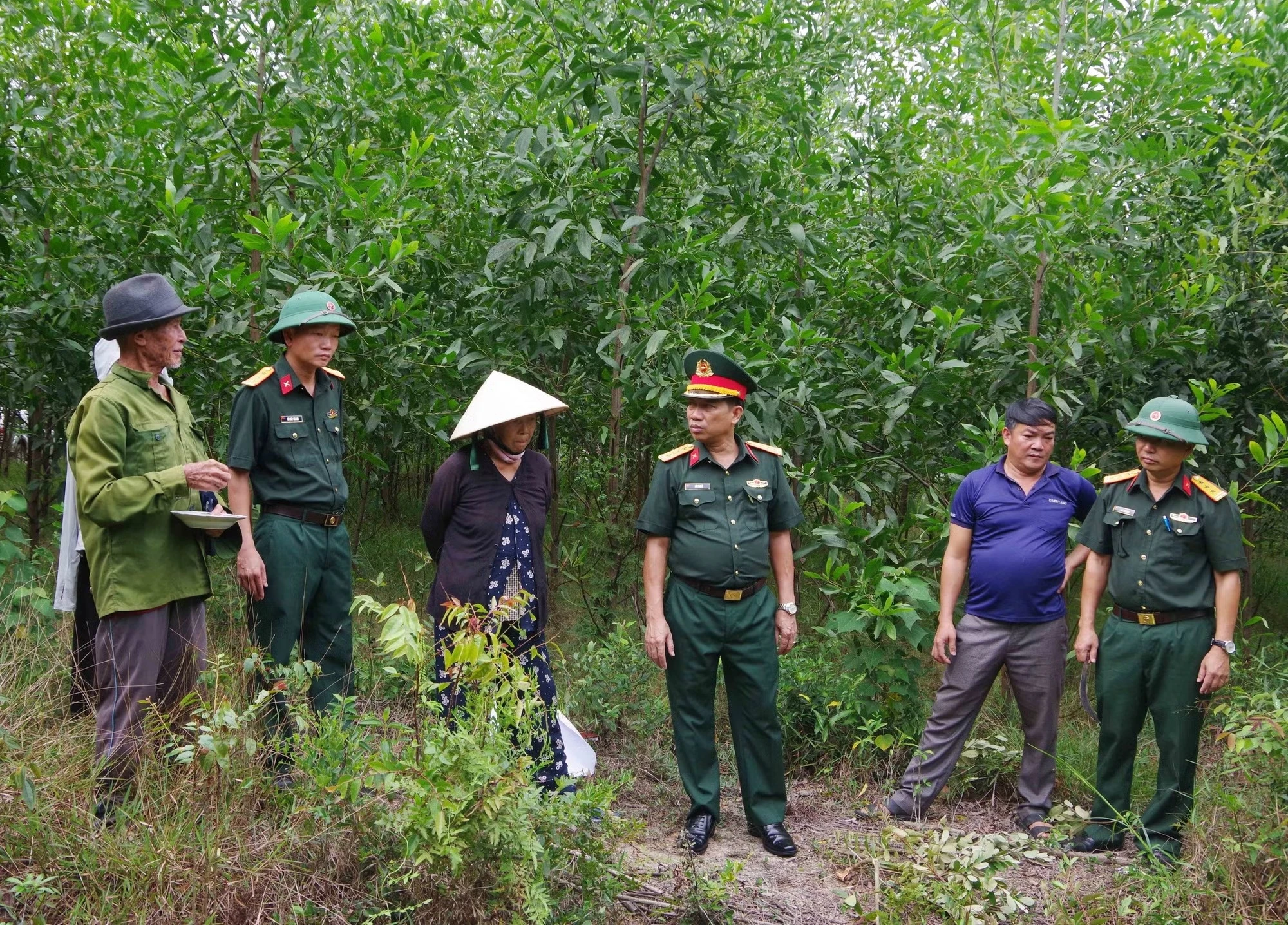 Xac minh mo liet si canh nghia trang gia dinh o Hue hinh anh