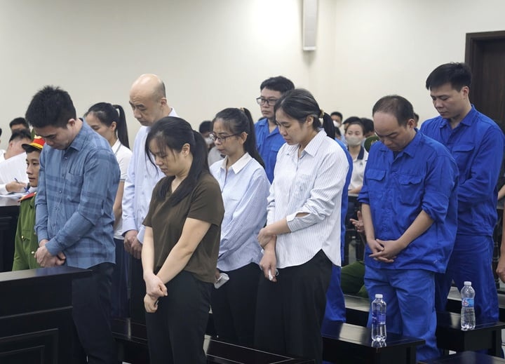 Nguyễn Năng Mạnh ảnh 1