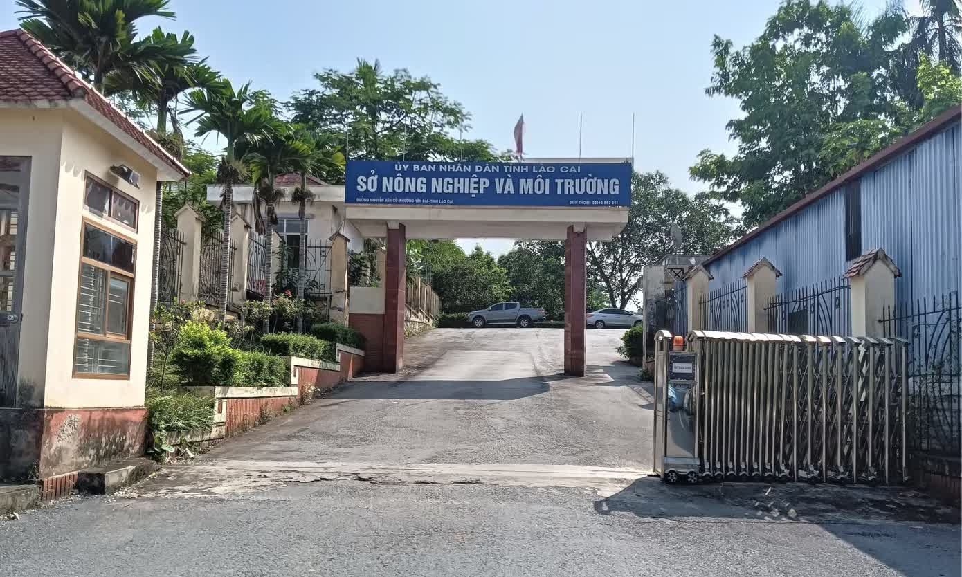 Một cán bộ Sở Nông nghiệp và Môi trường Lào Cai tử vong tại cơ quan