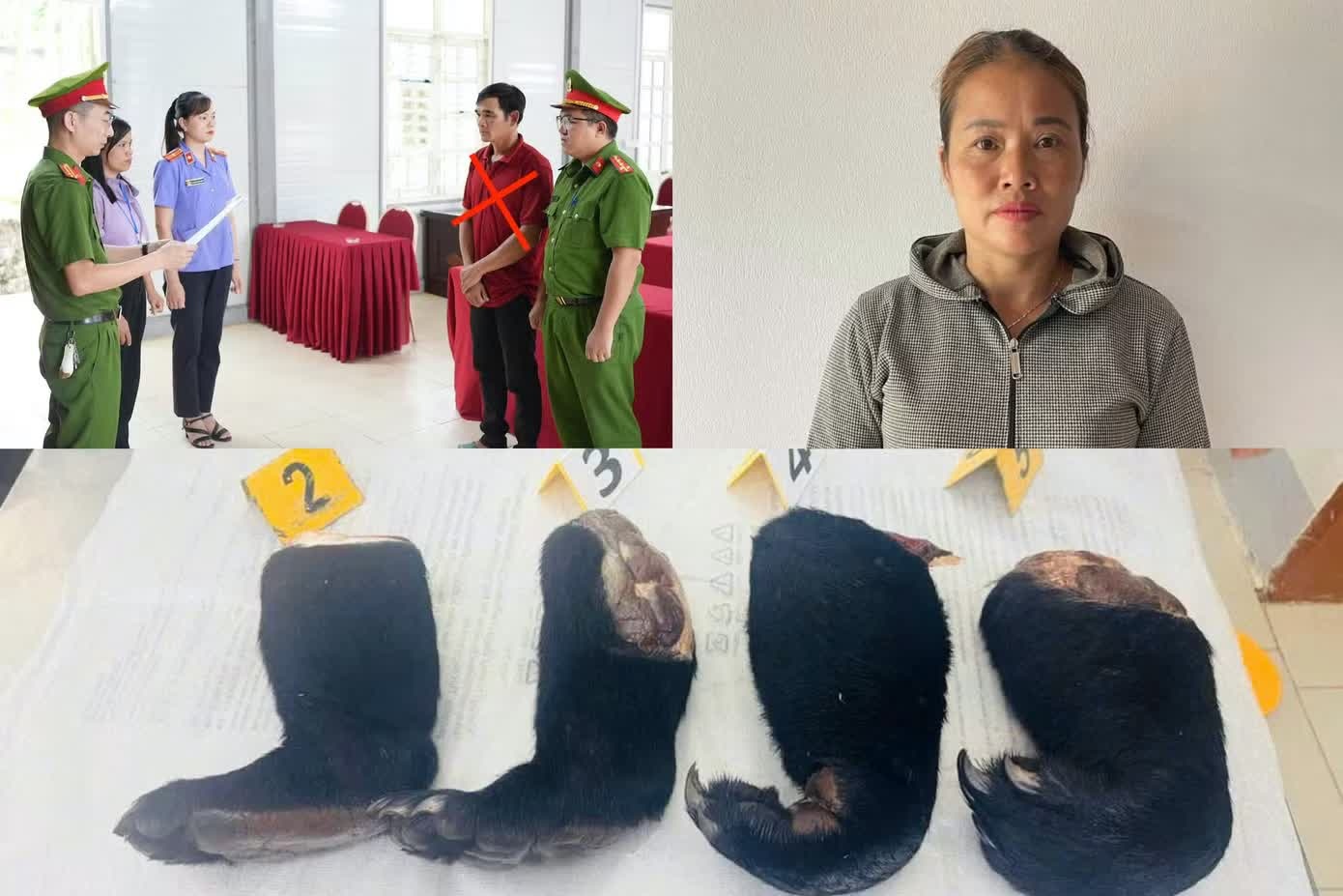Mua tay gấu,  mật gấu,  b&aacute;n kiếm lời ảnh 1