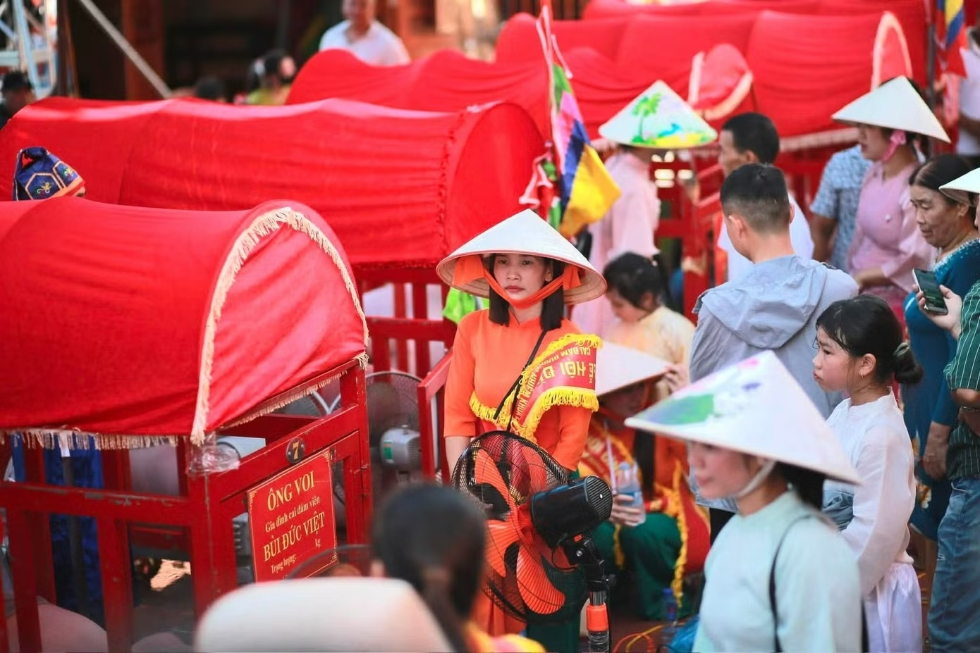 &Ocirc;ng Voi ảnh 9
