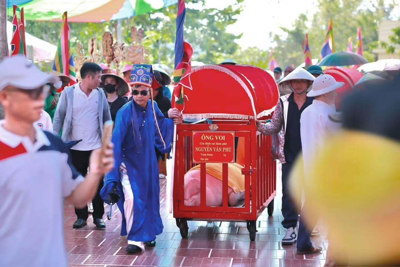 Độc đáo lễ rước ‘Ông Voi’ ở làng biển