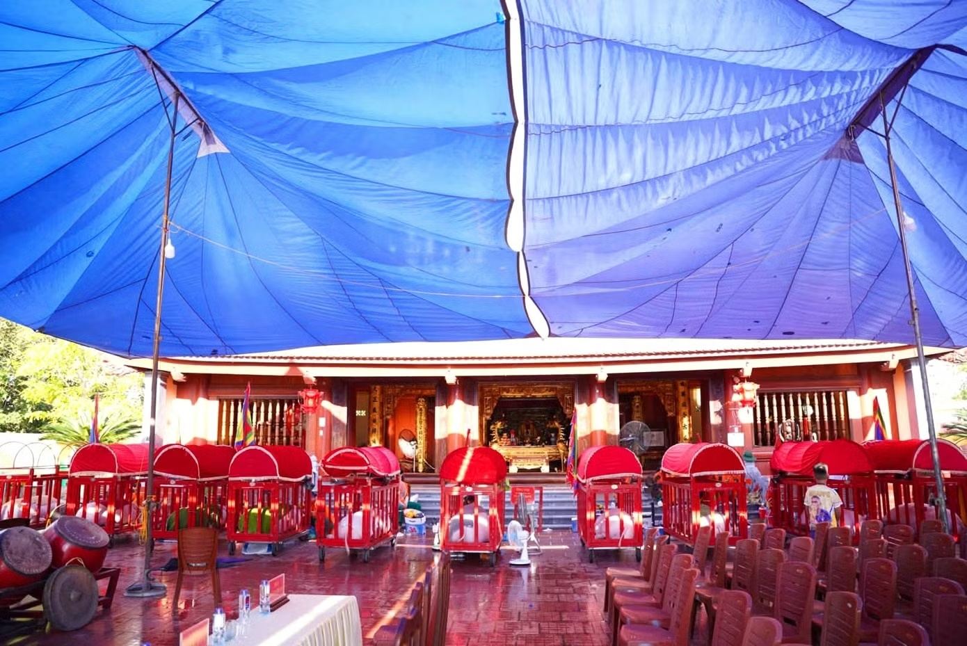 &Ocirc;ng Voi ảnh 13