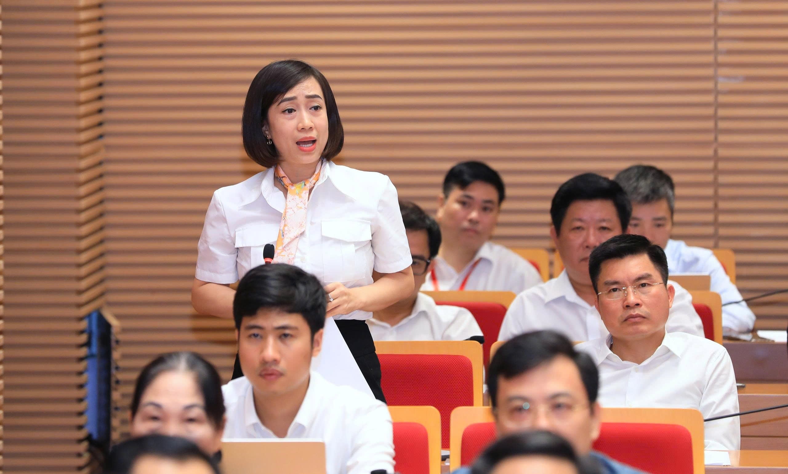 chất vấn ảnh 2