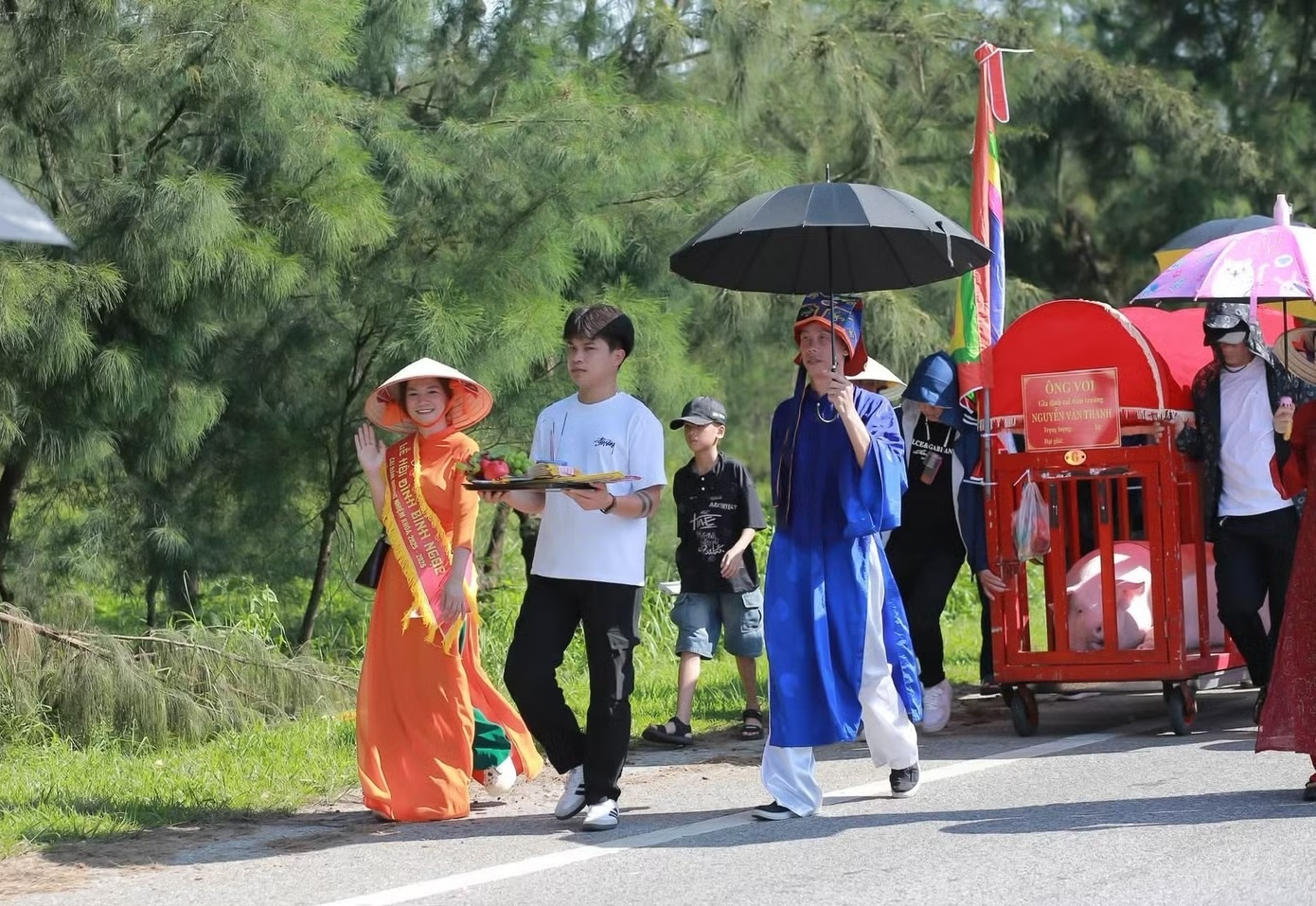 &Ocirc;ng Voi ảnh 5