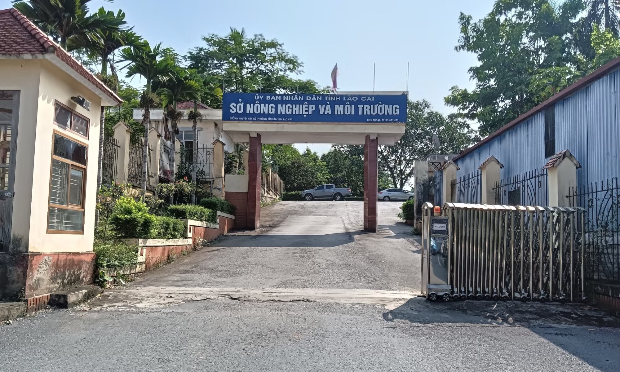 tử vong ảnh 1