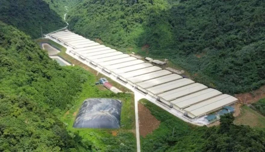 3 người tử vong do tai nạn ở trang trại nuôi lợn tại Thanh Hóa