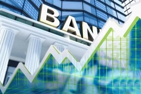 Cựu Giám đốc chi nhánh SeaBank bị truy tố vắng mặt vụ án liên quan Vina Megastar