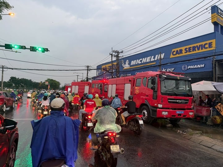 ch&aacute;y ảnh 3