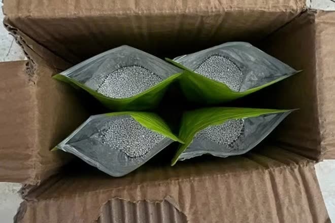 bu&ocirc;n lậu,  20 kg bạc,  qua bi&ecirc;n giới ảnh 2