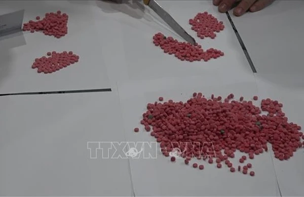 Bắt quả tang vụ vận chuyển 3.200 viên ma túy qua biên giới Nghệ An