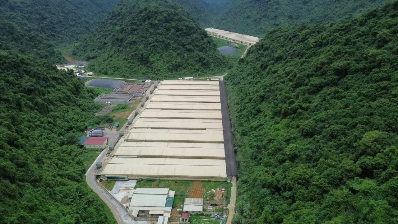 Thêm nạn nhân tử vong trong vụ tai nạn tại trại nuôi lợn ở Thanh Hóa