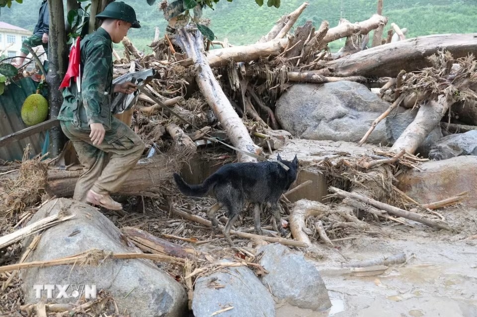 sạt lở ảnh 6