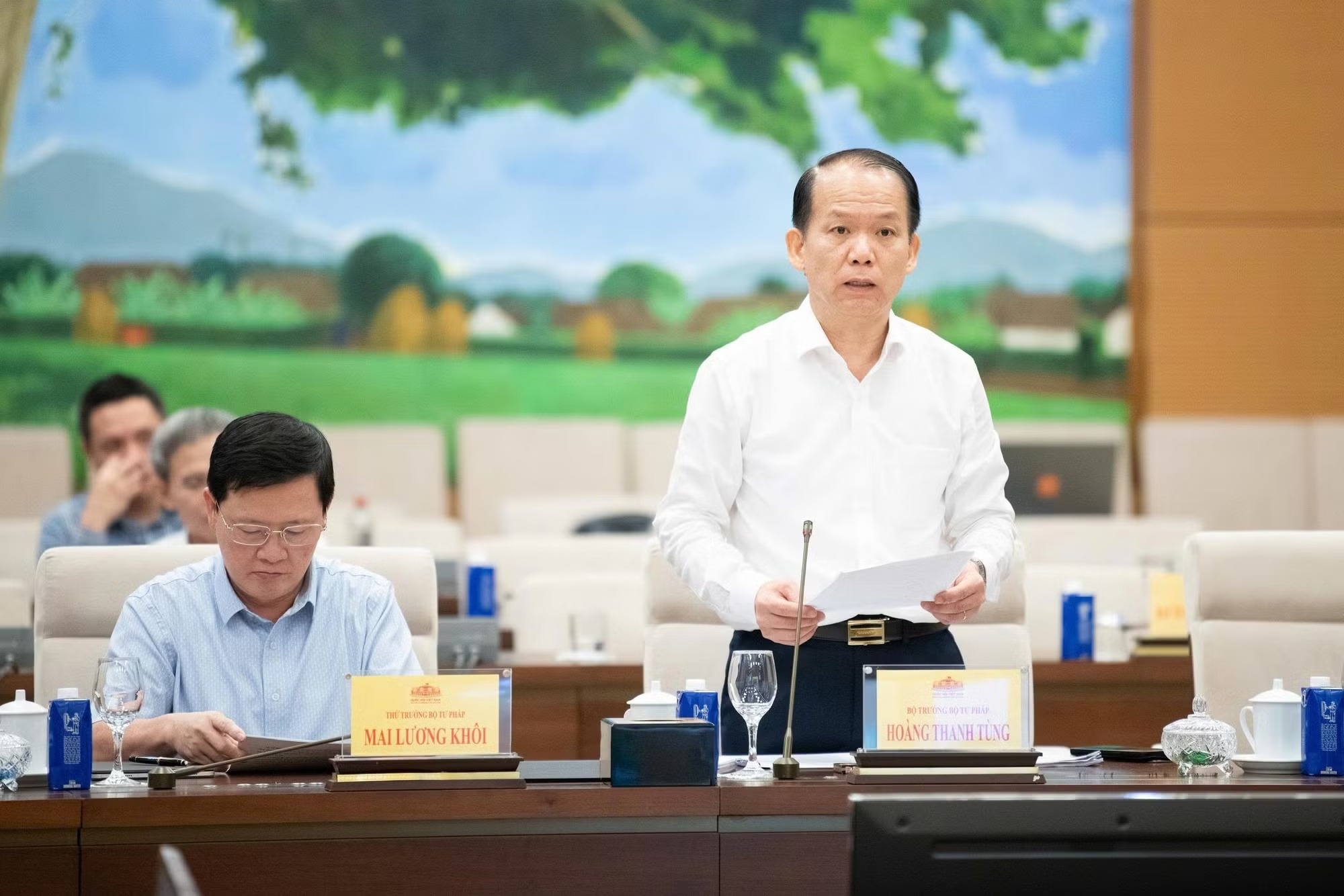 ph&acirc;n l&ocirc; b&aacute;n nền ảnh 1
