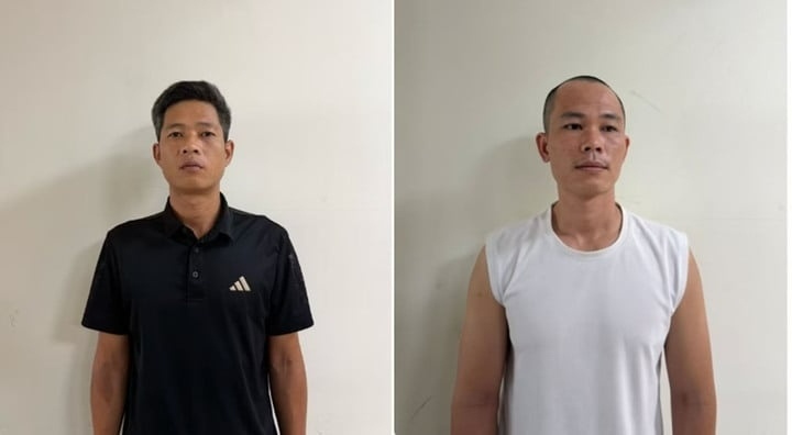 c&aacute; độ ảnh 3