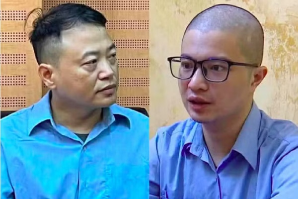 Mr Pips,  Shark B&igrave;nh ảnh 1