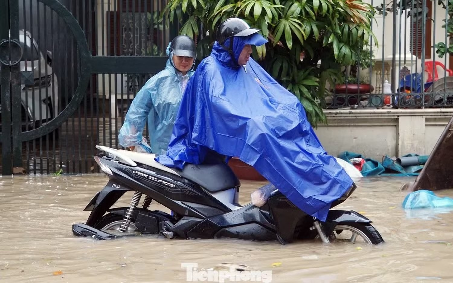 mưa lớn ảnh 1