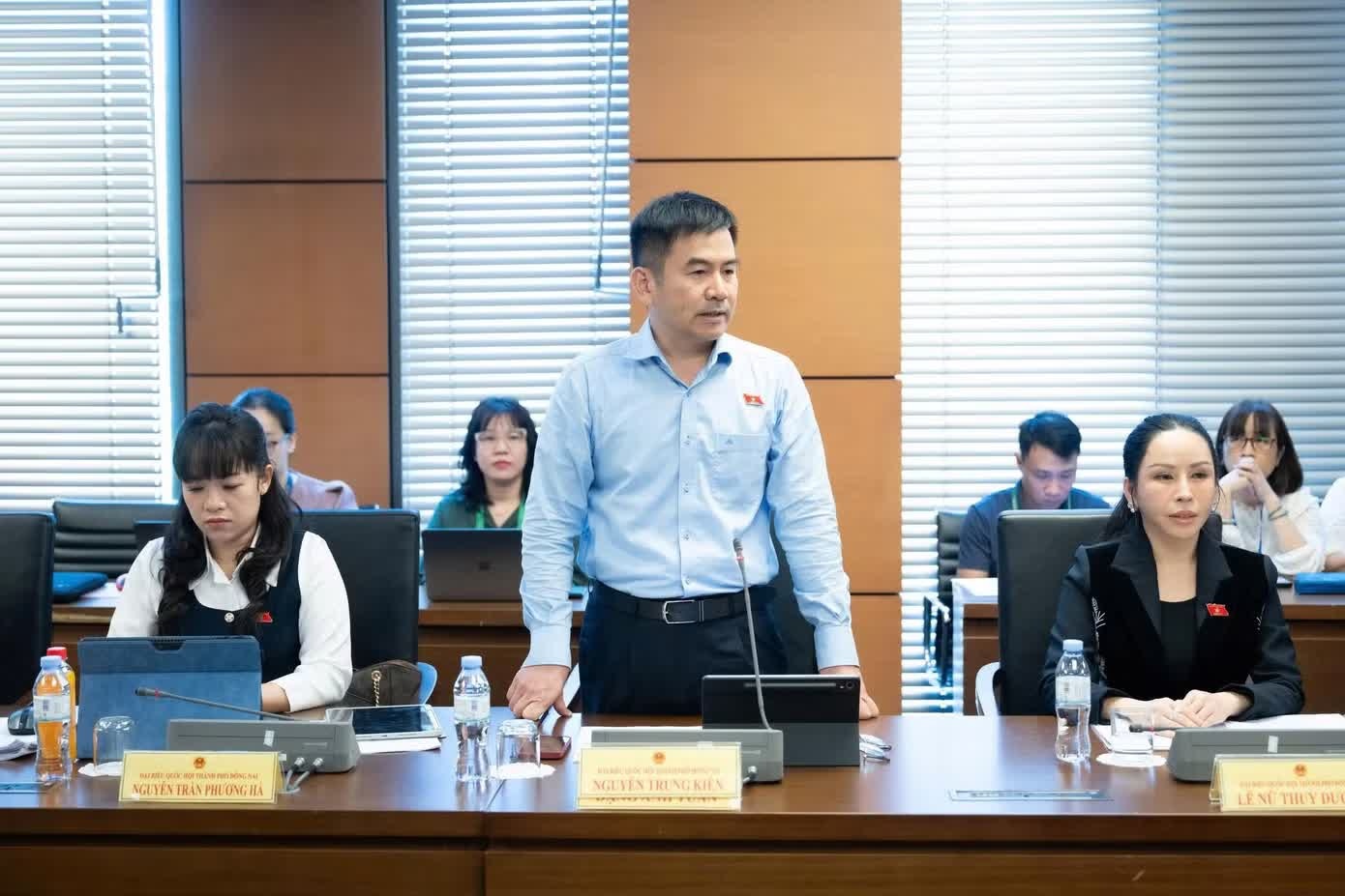 c&acirc;y cảnh trăm tỷ ảnh 1