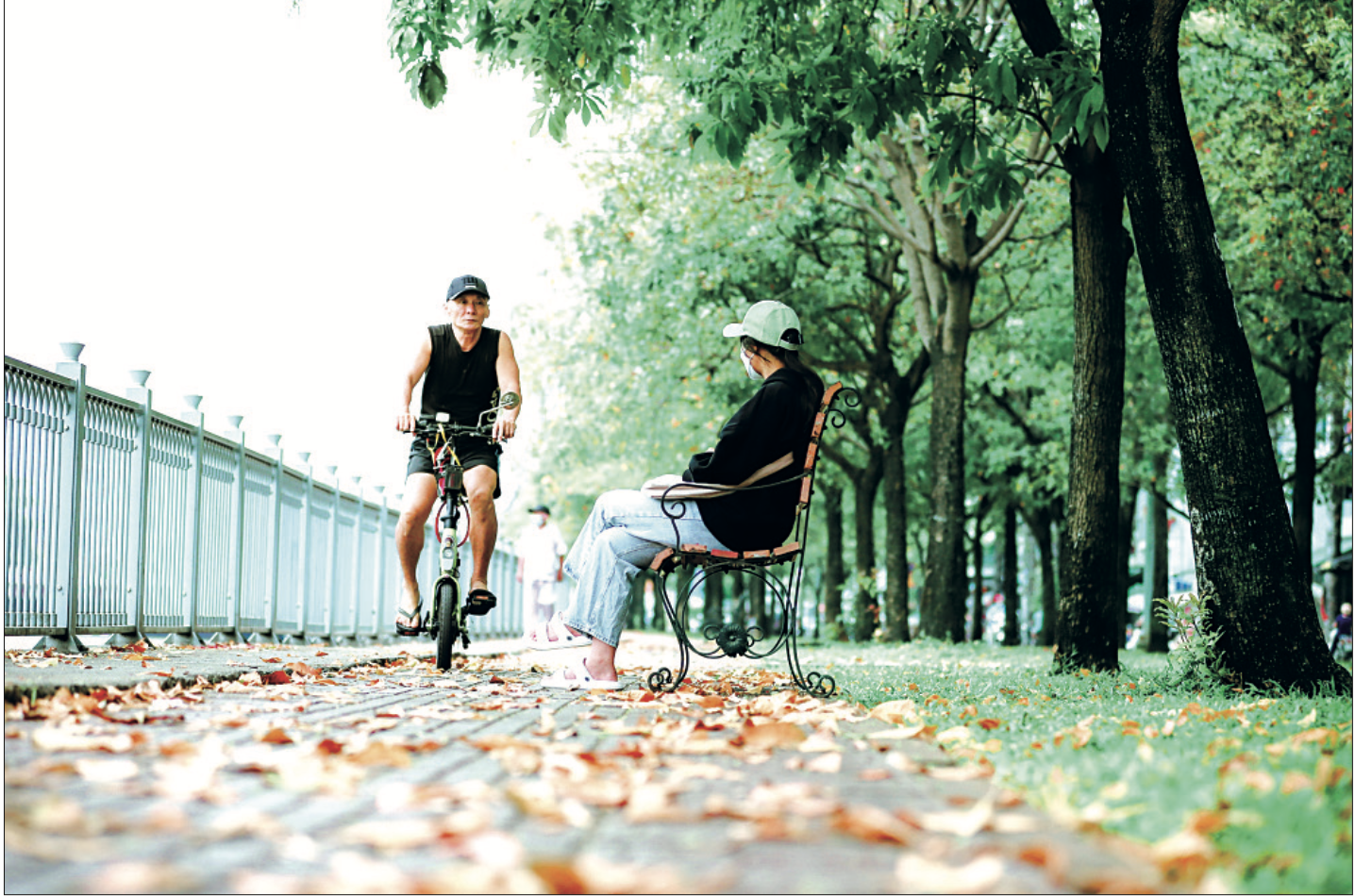 Sài Gòn cho tôi sống một thời tuổi trẻ tươi đẹp