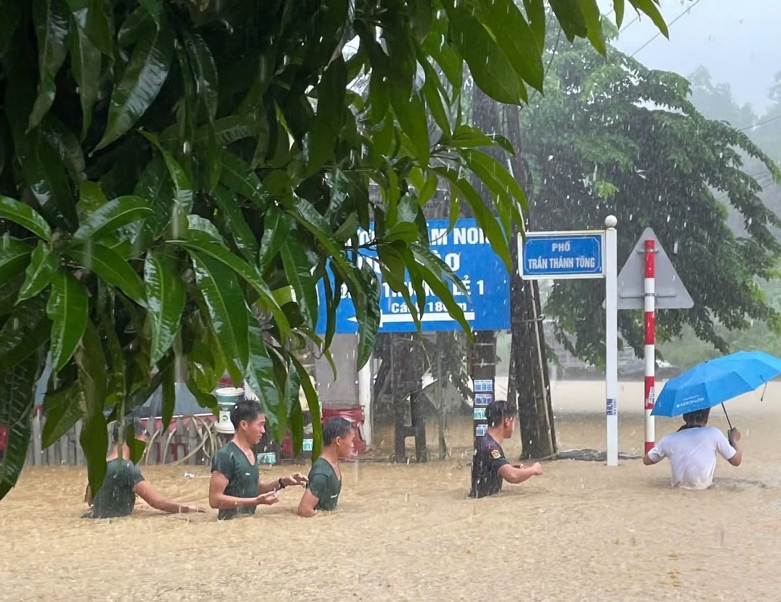 mưa lón ảnh 2 mưa lón ảnh 2