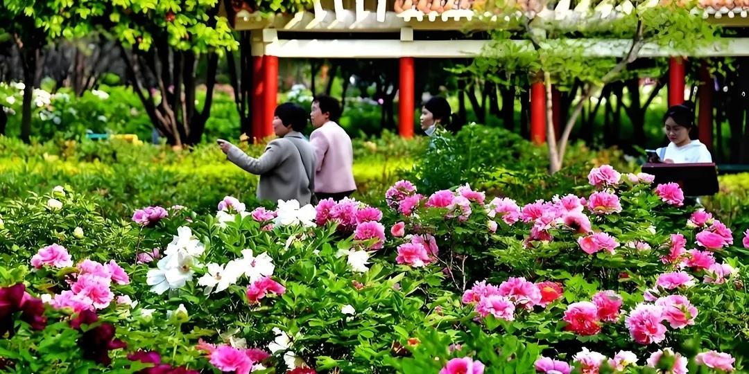 trung quốc ảnh 1