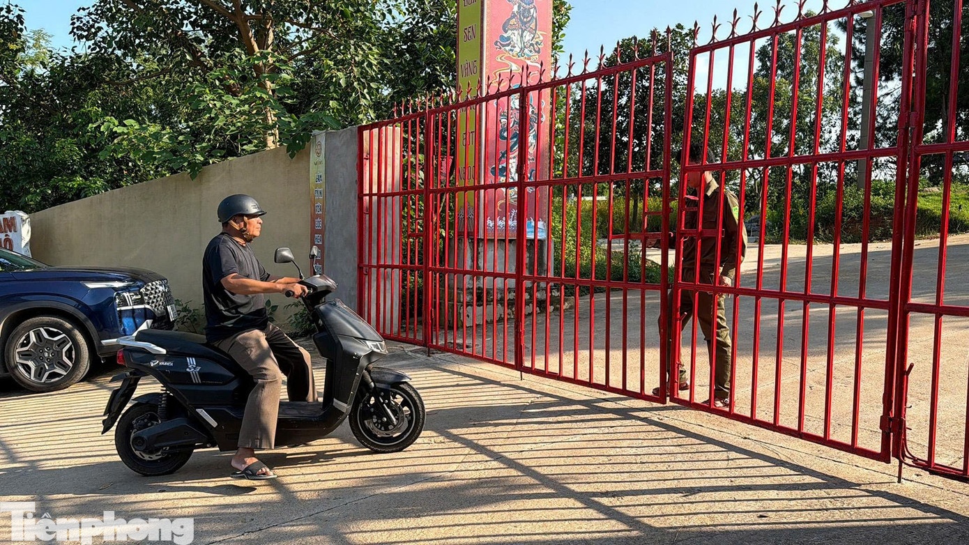 lời kể ảnh 3