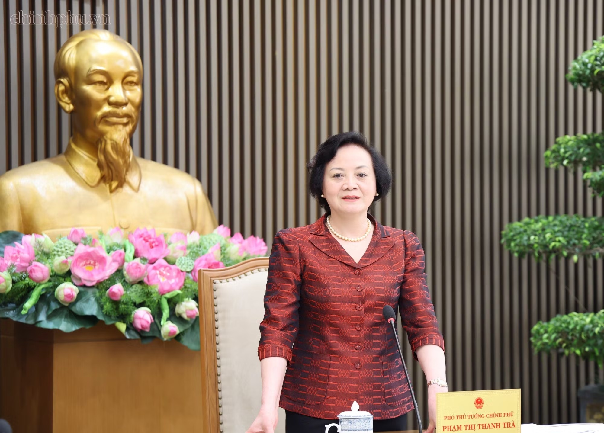 trợ cấp hưu tr&iacute; ảnh 2