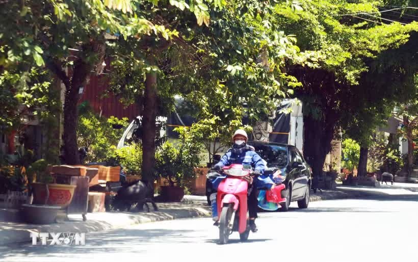 Thời tiết 16/8 ảnh 1