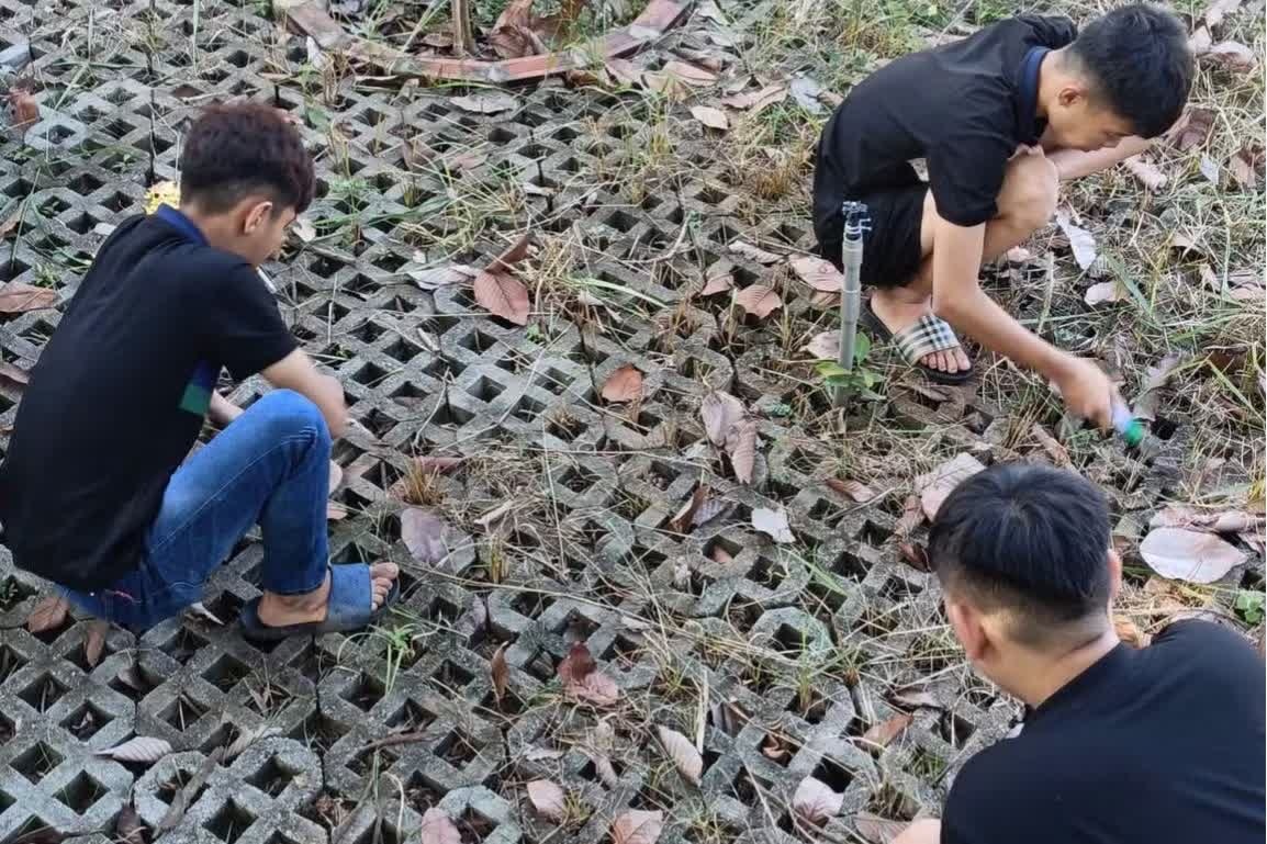 G&acirc;y n&aacute;o loạn,  Đường phố ảnh 1