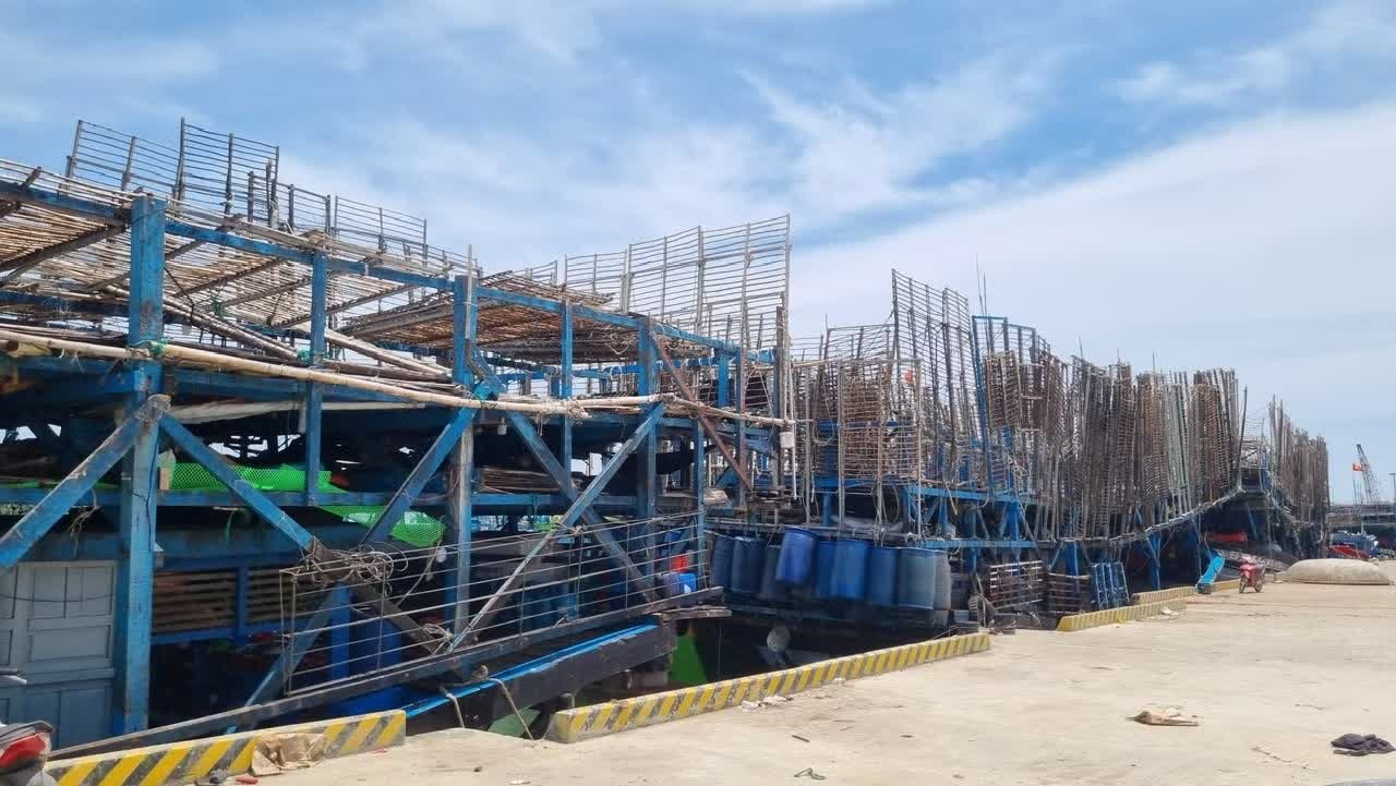 Tàu cá cùng 50 ngư dân mất liên lạc trên biển