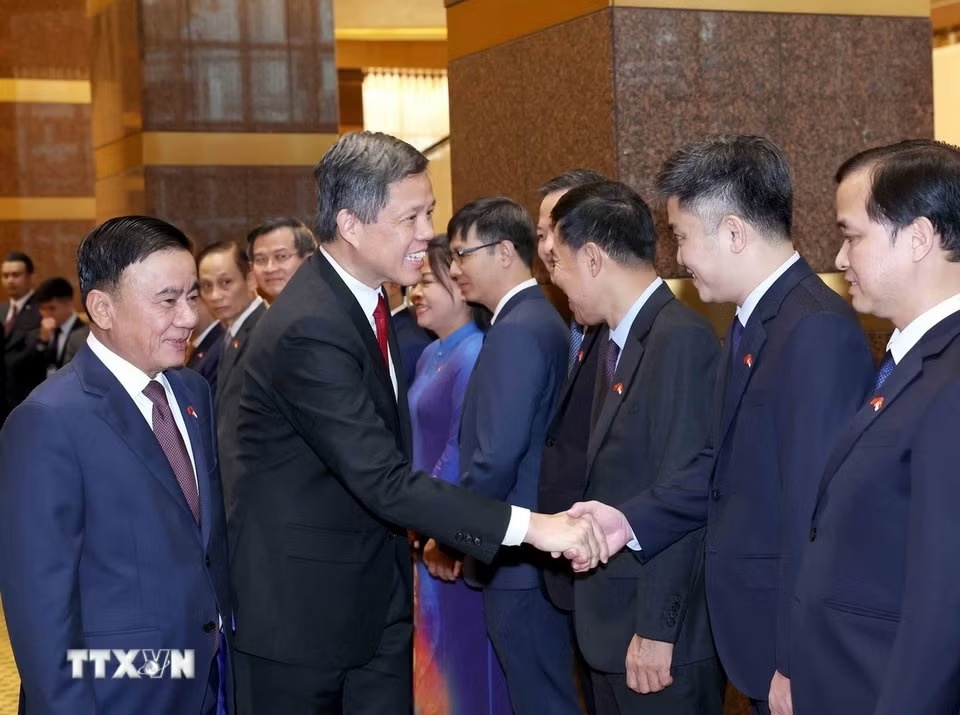 trần cẩm t&uacute; ảnh 3