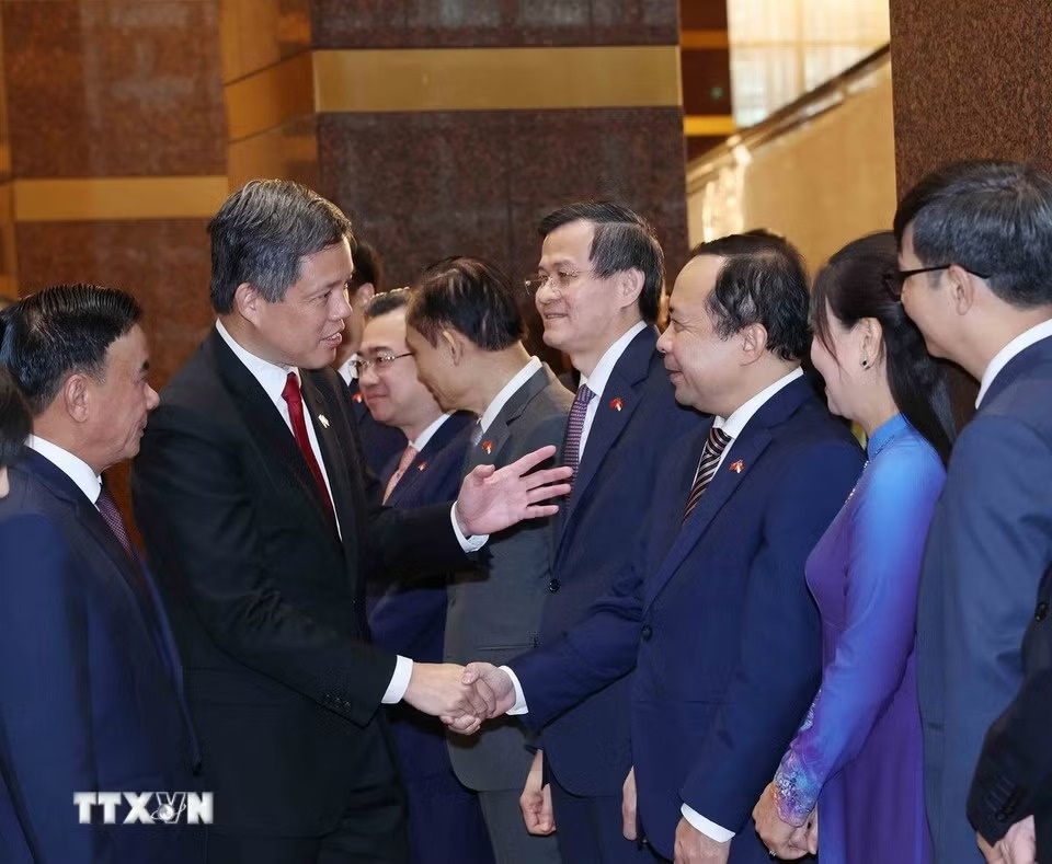 trần cẩm t&uacute; ảnh 7