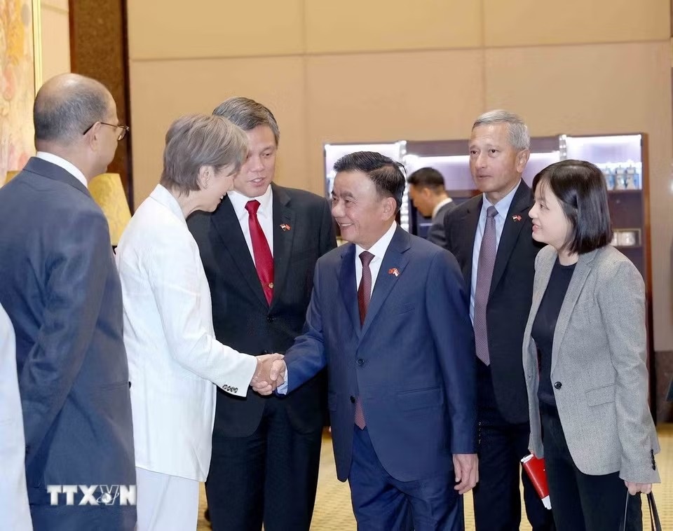 trần cẩm t&uacute; ảnh 8