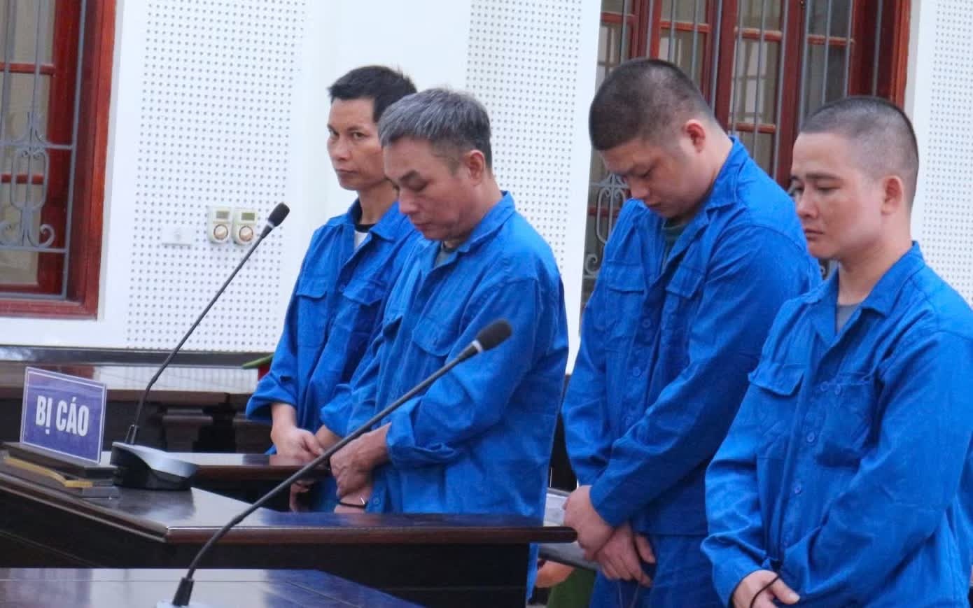 Đ&agrave;o ma t&uacute;y,  ch&ocirc;n dưới vườn,  l&ecirc;n phơi nắng ảnh 1