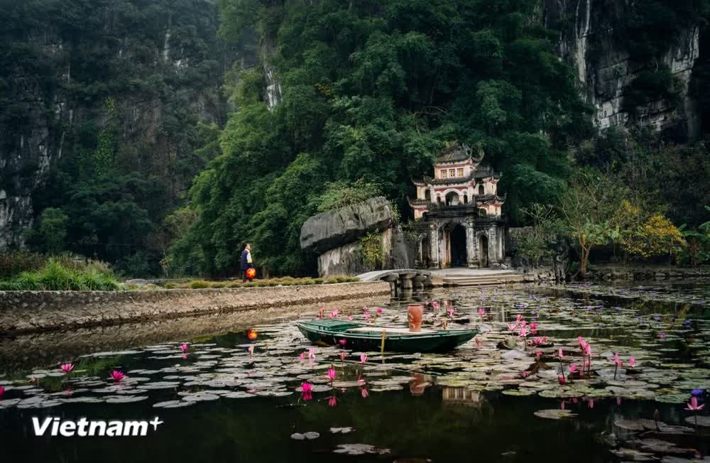 Những ch&iacute;nh s&aacute;ch mới  ảnh 2