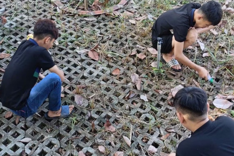 Gây náo loạn đường phố khi 'đi bão', nhóm nam giới mặc váy được mời đi dọn rác