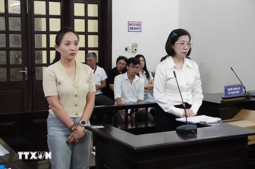 tranh chấp khoảng kh&ocirc;ng,  Trần Kh&aacute;t Ch&acirc;n ảnh 1