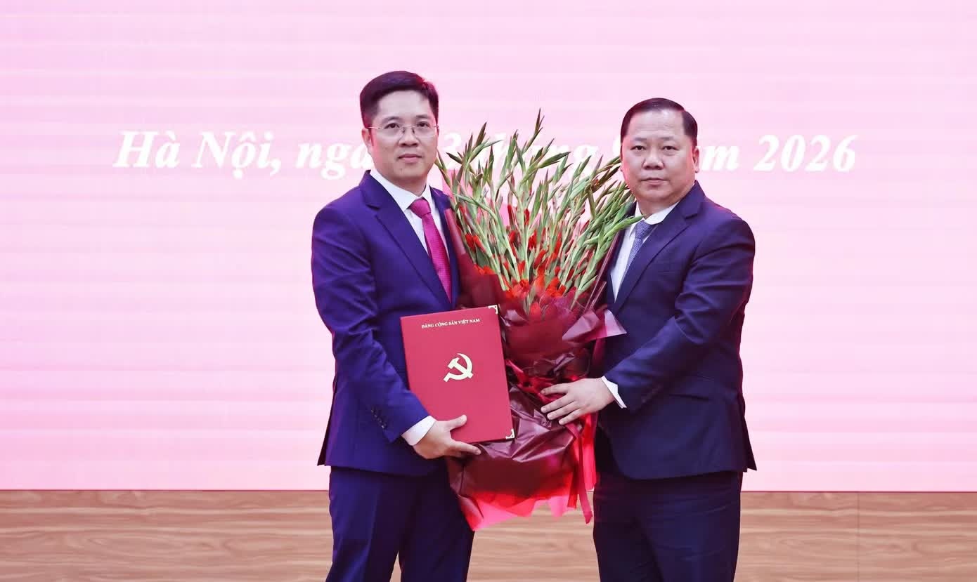 Bổ nhiệm Trợ lý Chủ tịch Ủy ban Trung ương Mặt trận Tổ quốc Việt Nam