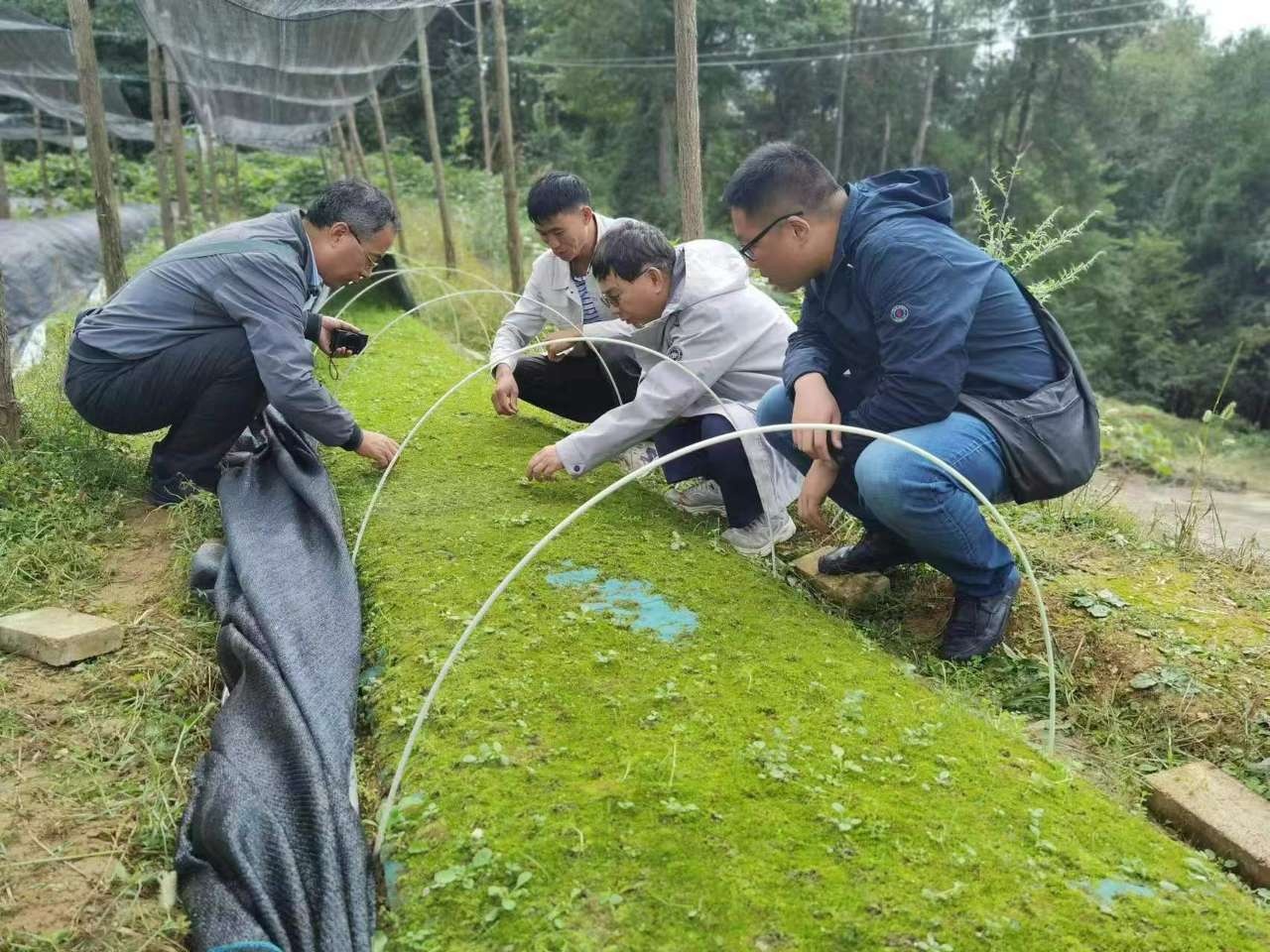 vàng ảnh 6 vàng ảnh 6