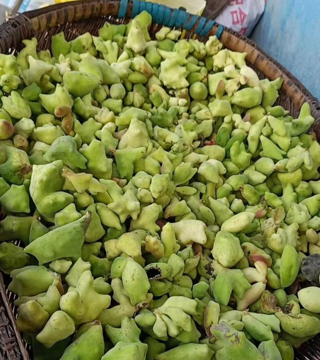 vàng ảnh 4 vàng ảnh 4