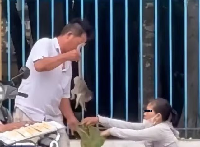 Kiểm lâm làm rõ vụ đưa khỉ con rời khỏi Tòa thánh Tây Ninh