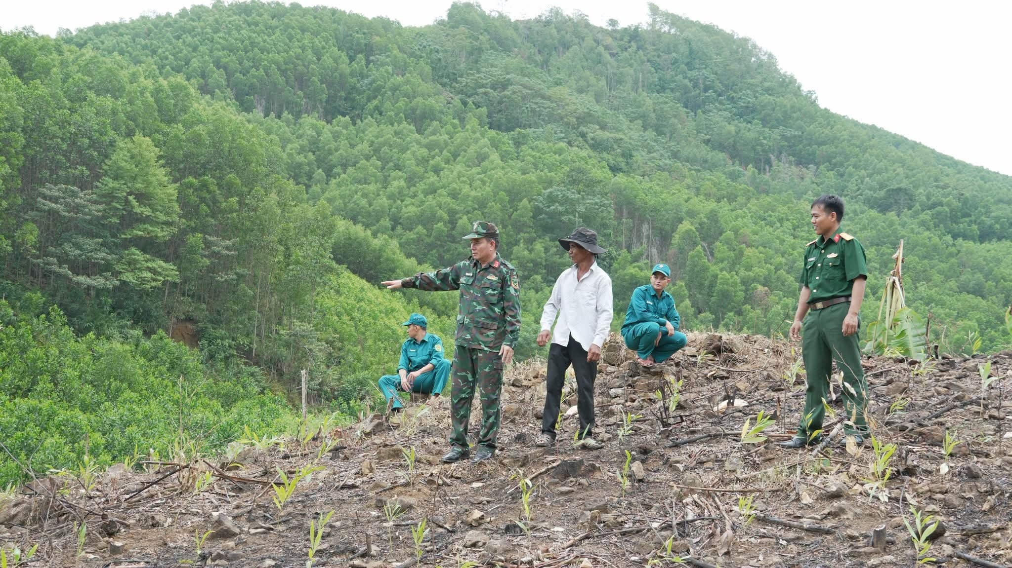 Khảo sát khu vực nghi có mộ tập thể liệt sĩ ở Quảng Ngãi