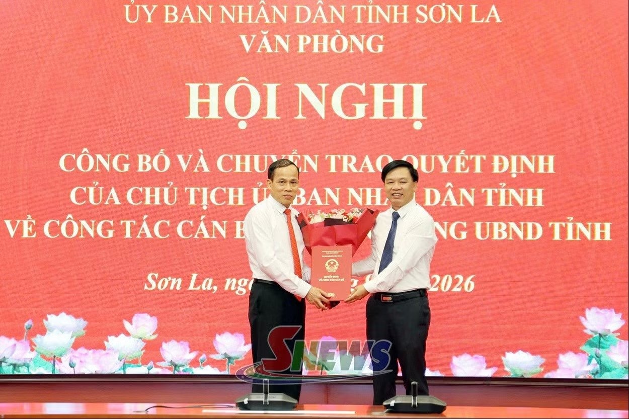 Bổ nhiệm ảnh 3