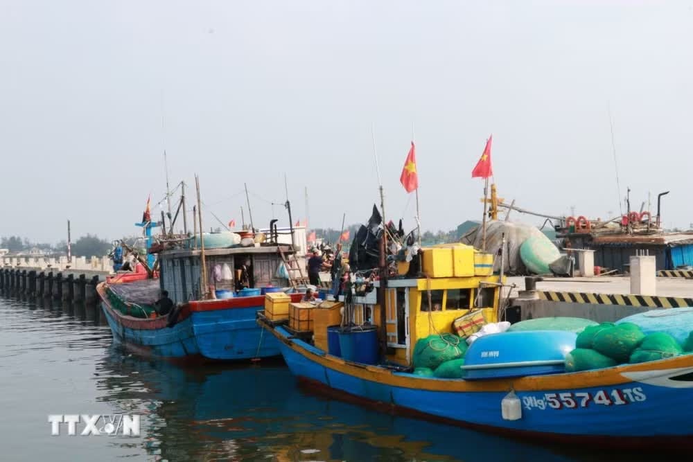 &Aacute;p thấp nhiệt đới ảnh 3
