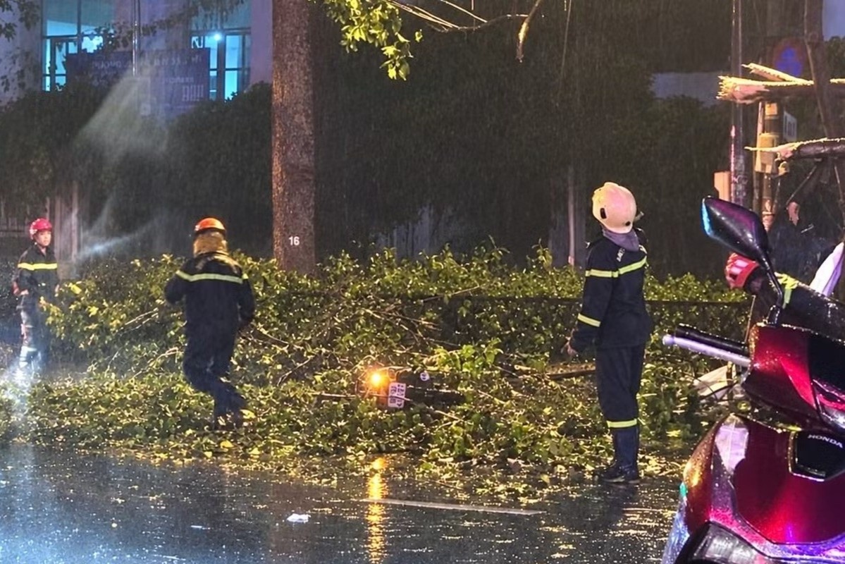 Nhánh cây lớn rơi trúng xe máy, hai vợ chồng thương vong