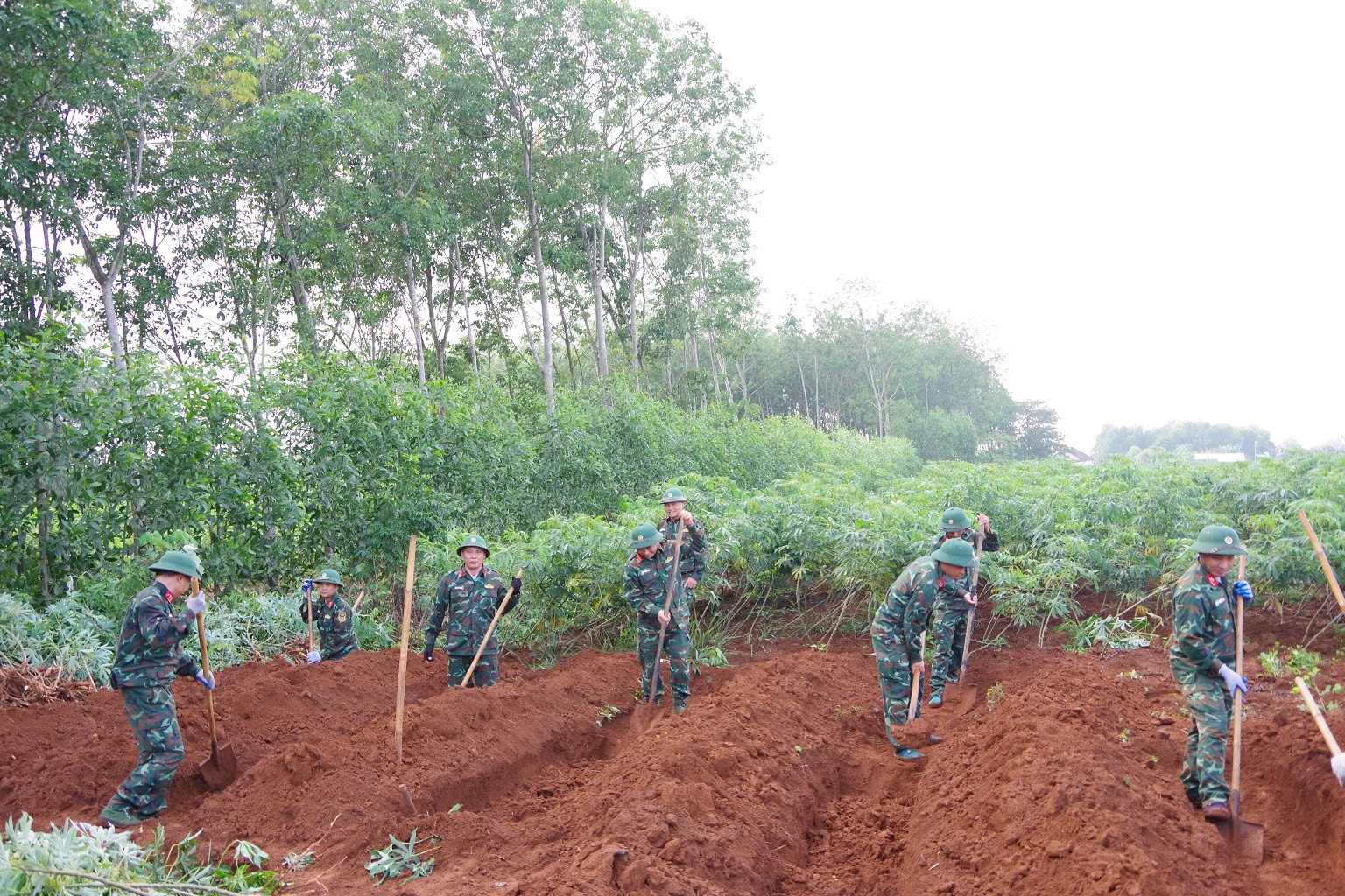 t&igrave;m kiếm liệt sĩ ảnh 2