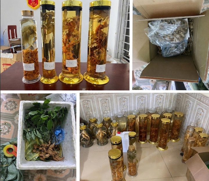 B&aacute;n s&acirc;m Lai Ch&acirc;u,  Gắn m&aacute;c Ngọc Linh ảnh 2