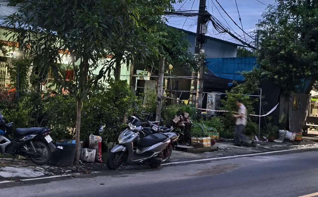 Thảm &aacute;n,  Củ Chi ảnh 1